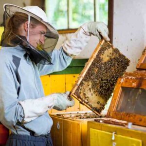 Hanlon Hill Honey Farm Image